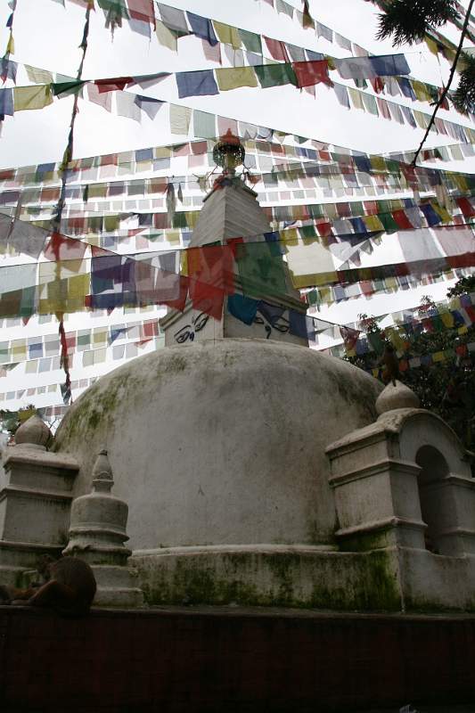 India & Nepal 2011 - 0408